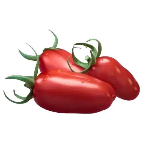Frische rote San Marzano Tomaten für die Pizzasauce